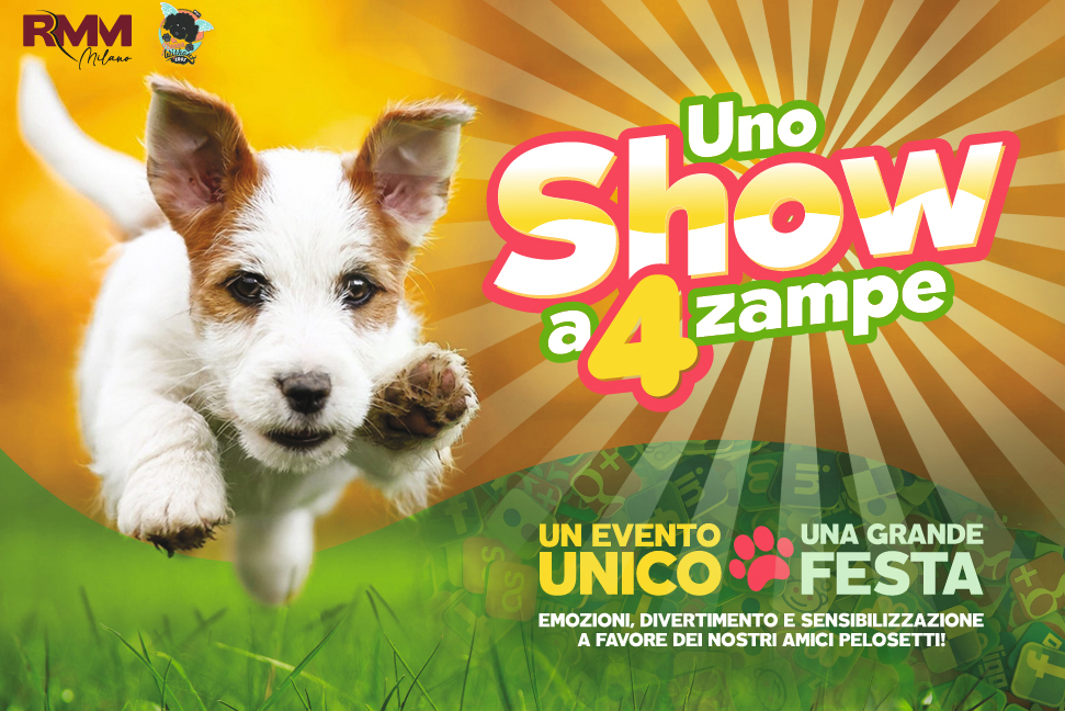 uno show a 4 zampe